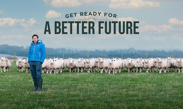 Farmer stood in field of sheep